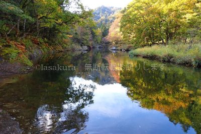 青森県 薬研渓谷