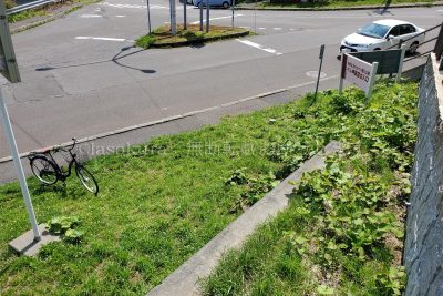 北海道 利尻島 ペシ岬