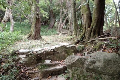 保久良神社と保久良梅林との分かれ道に出ました