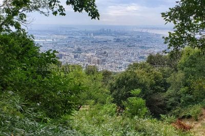 六甲山 金鳥山の広場（山頂ではない）