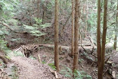 六甲山 八幡谷の橋と椅子