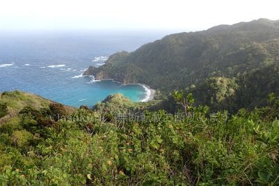 初寝浦展望台から鶯色の砂浜