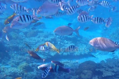 小笠原諸島兄島キャベツビーチ