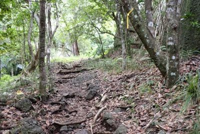 千尋ルートの戦跡その1 軍用道路の石畳