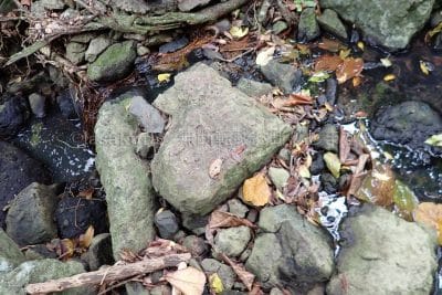 35分地点。川の飛び石がハートロック