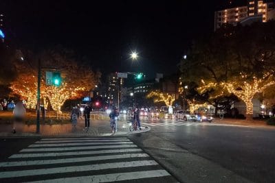 スターリーフォレスト Fサイド