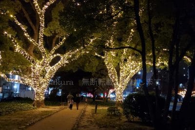 スターリーフォレスト Gサイド