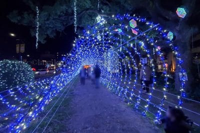 ひろしまドリミネーション2024ルミナスウェーブ