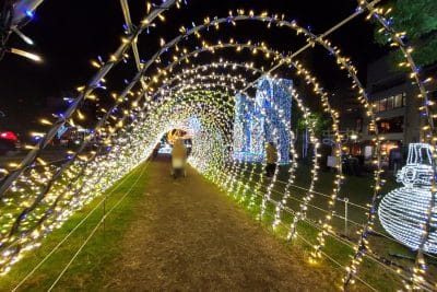 ひろしまドリミネーション2024ルミナスウェーブ