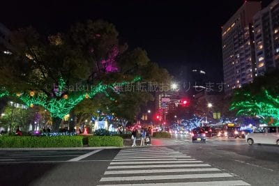 ひろしまドリミネーション2024グリーンウッドマンフォレスト