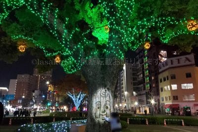 ひろしまドリミネーション2024グリーンウッドマンフォレスト