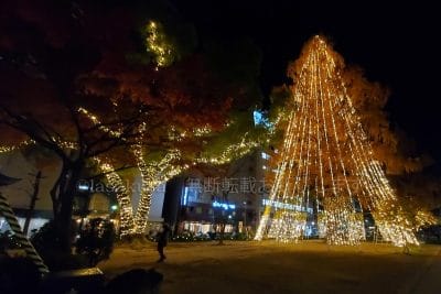 スターリーフォレスト Lサイド