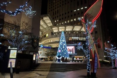 ひろしまドリミネーション2024