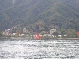 厳島神社大鳥居