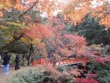 宮島紅葉谷公園もみじ橋