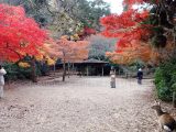 紅葉谷公園