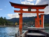 遊覧船「ろかい舟」で厳島神社大鳥居をくぐり抜け