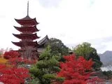 宮島五重塔と紅葉