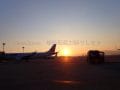 JAL（J-AIR）の機体と夕日