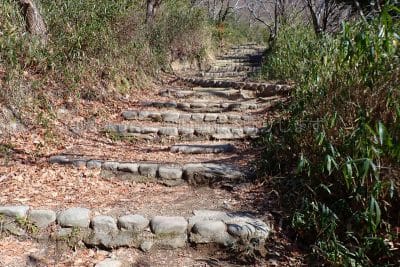 保久良神社から金鳥山へ