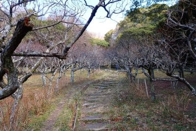 保久良梅林入口