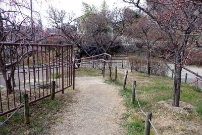 兵庫県 神戸市 岡本梅林公園中央