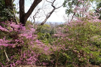 西宮市 甲山森林公園