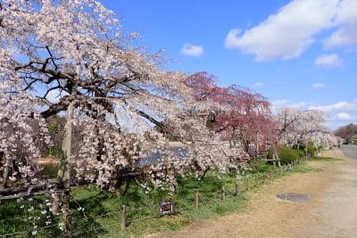 西宮市 北山貯水池