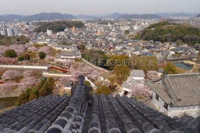 兵庫県 姫路市 兵庫県 姫路市 姫路城 天守閣から男山